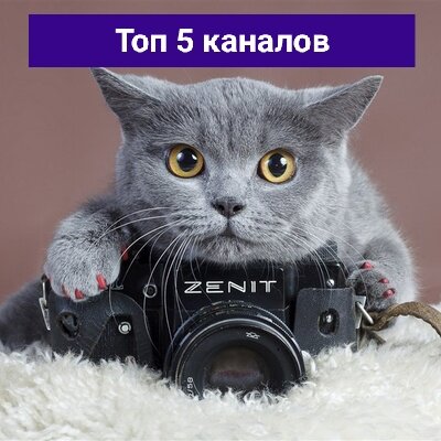 Изображение взято из открытых источников интернета.