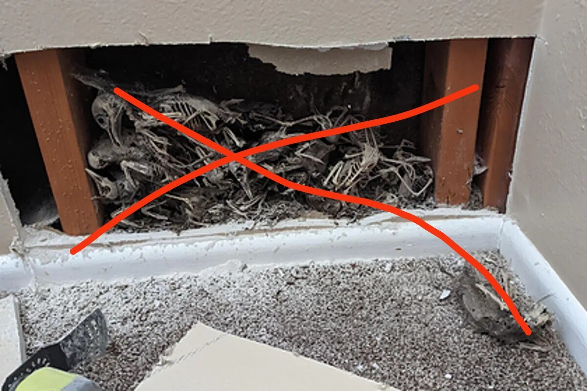 
«Я проделал дыру в стене, чтобы проложить проводку у себя дома, и нашел около 30 птичьих скелетов, погребенных внутри»,

— написал мужчина. На опубликованной им фотографии заметно, что найденные останки птиц нагромождены друг на друга.

В комментариях он признался, что не знает, как живые птицы или их скелеты оказались в стене. Рассказчик предположил, что либо они упали с чердака, либо их кто-то намеренно положил туда.