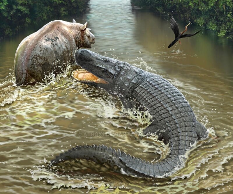 Оуу, какой жирненький, иди как к папочке!