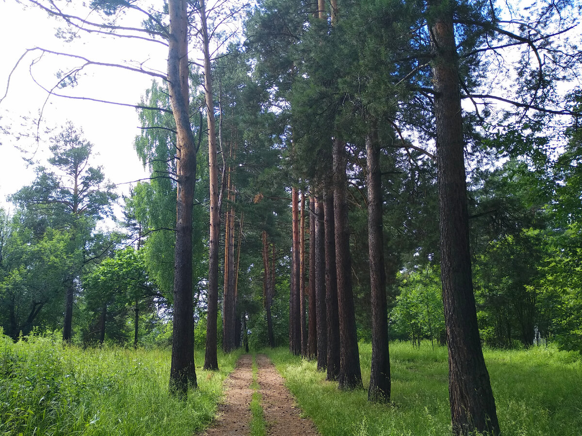 Территория уже не охраняется