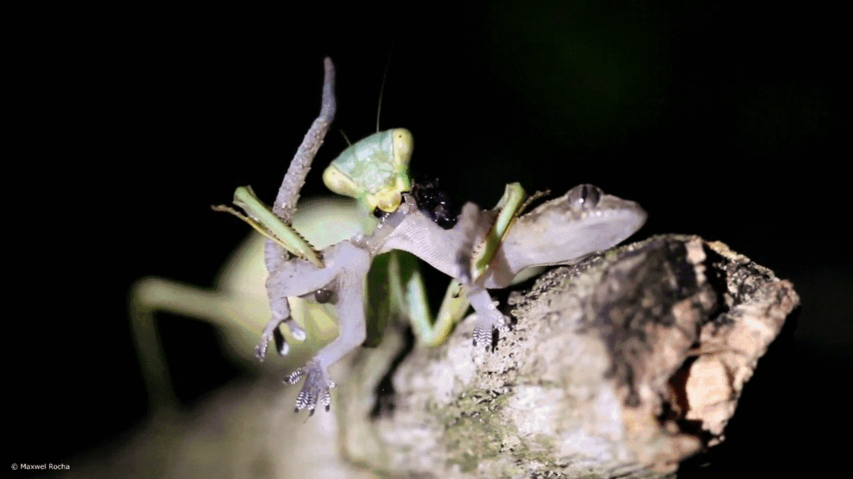 неприятно выглядит, но это и не худшее, что я видел