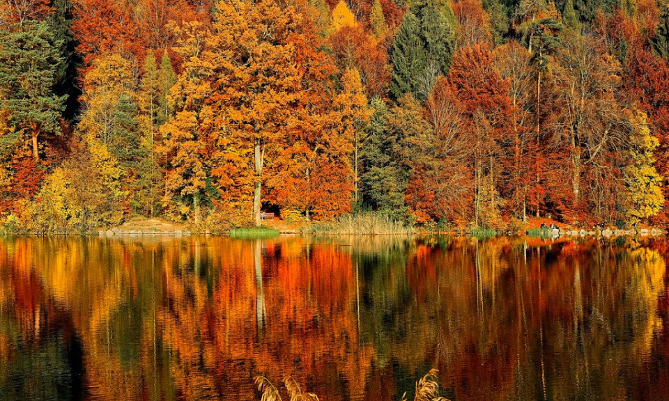 Фото unsplash.com
