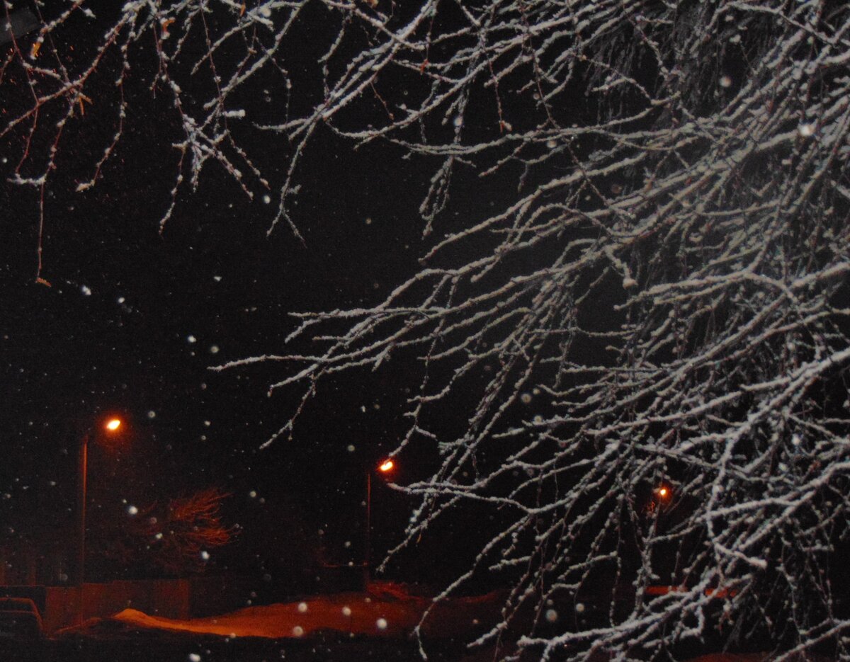 Фото автора канала