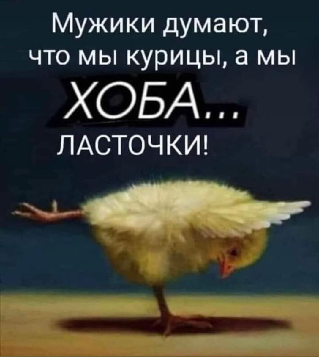 Мужики думают, что они Орлы...а они...