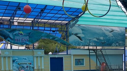 Дельфинарий небуг 2024. Небуг аквапарк и дельфинарий. Аквамир в небуге. Дельфинарий небуг туапсе. Дельфинарий аквамир небуг.