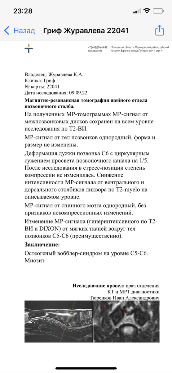 Грифа вывезли из приюта, но дома он смог только ползать