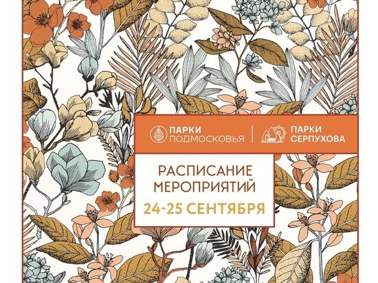     Фото из официального аккаунта МАУК «Парки Серпухова» в сети «ВКонтакте»
