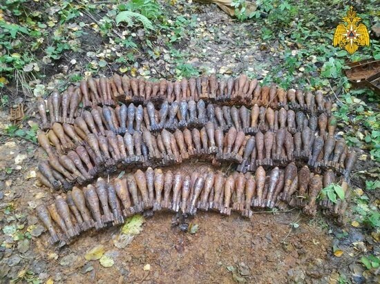     Фото: МЧС по Калужской области