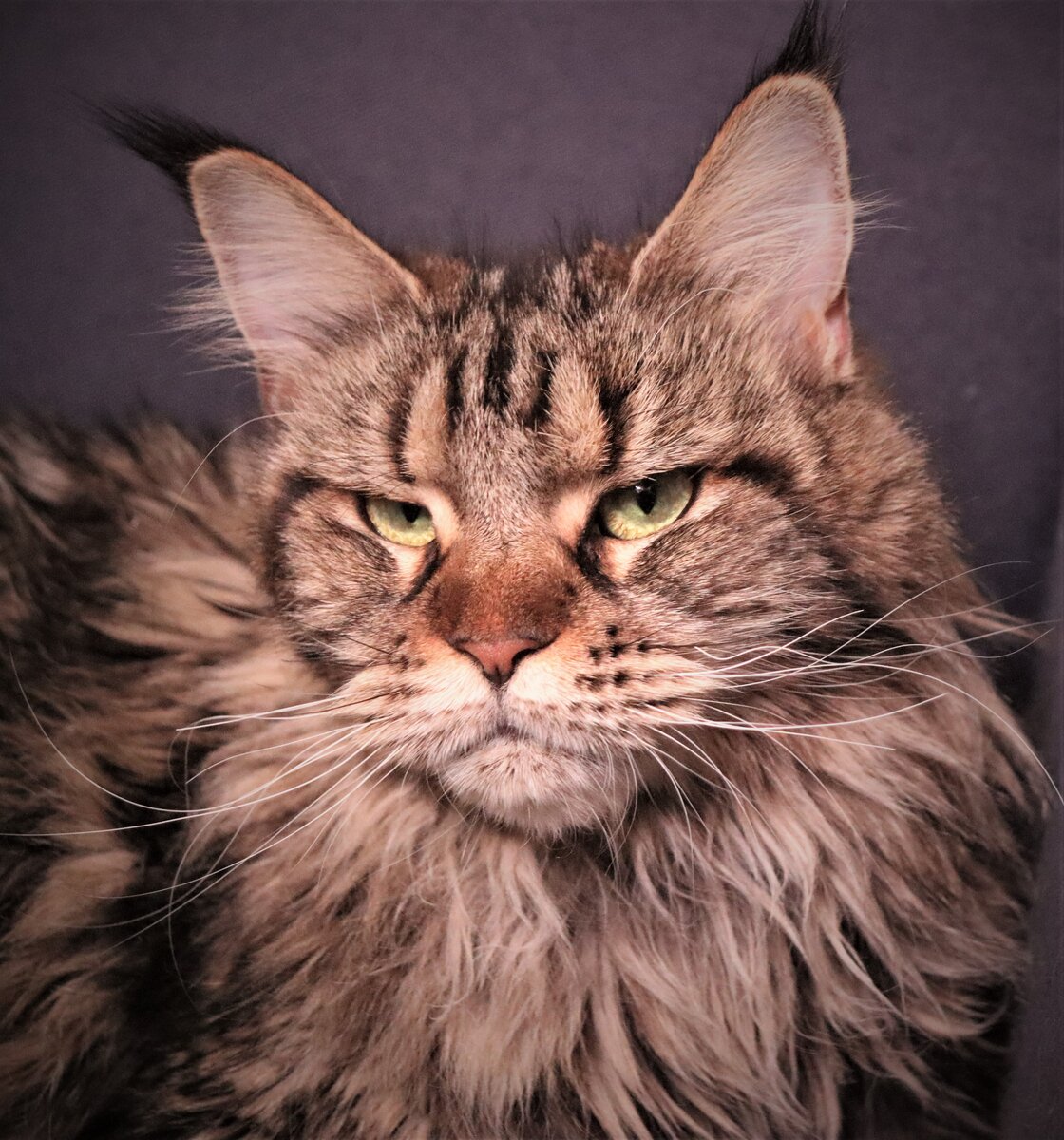 Фото из личного архива.