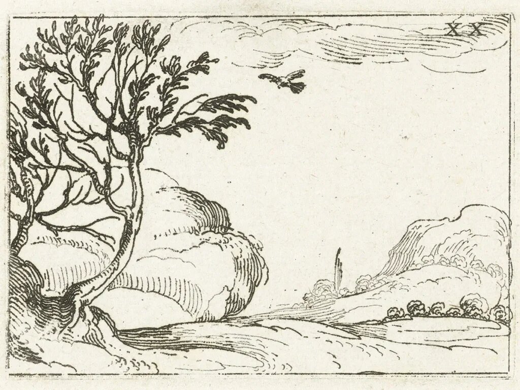 Голубица в пустыне.