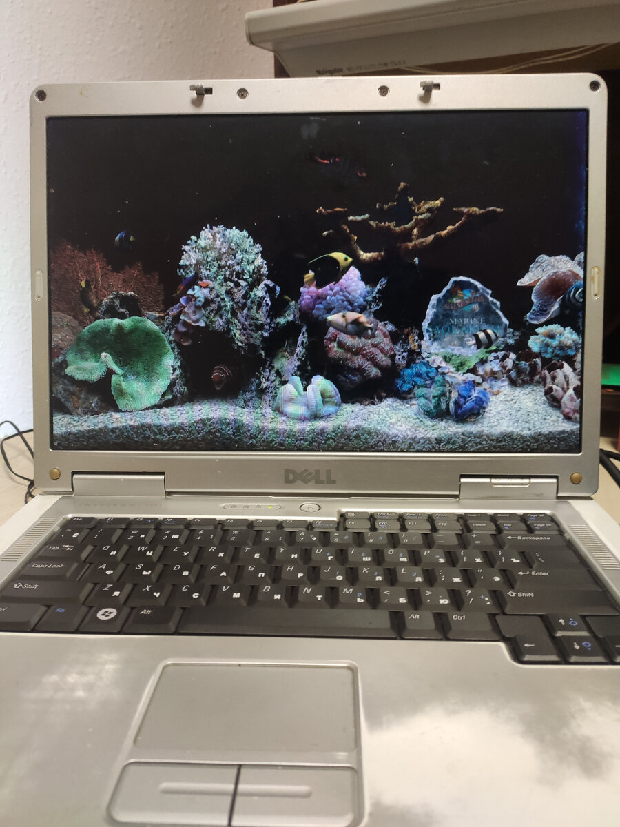 Делька с заставкой морского аквариума.