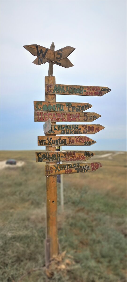 Выбери свой путь