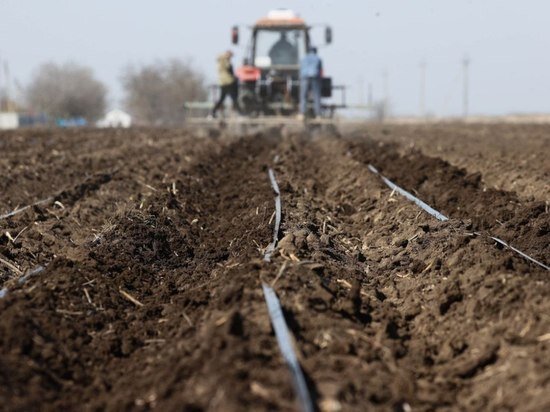     Фото пресс-службы Минсельхоза Республики Крым