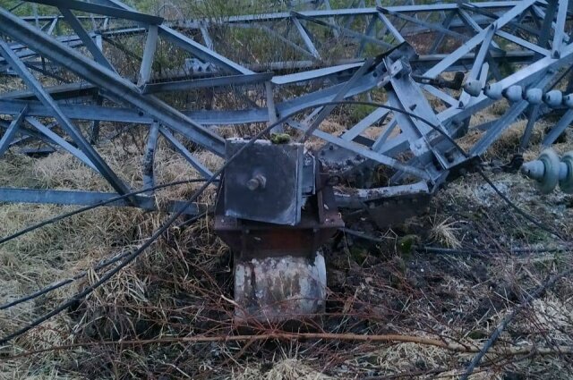    Фото: Telegram-канал губернатора Ленобласти Александра Дрозденко