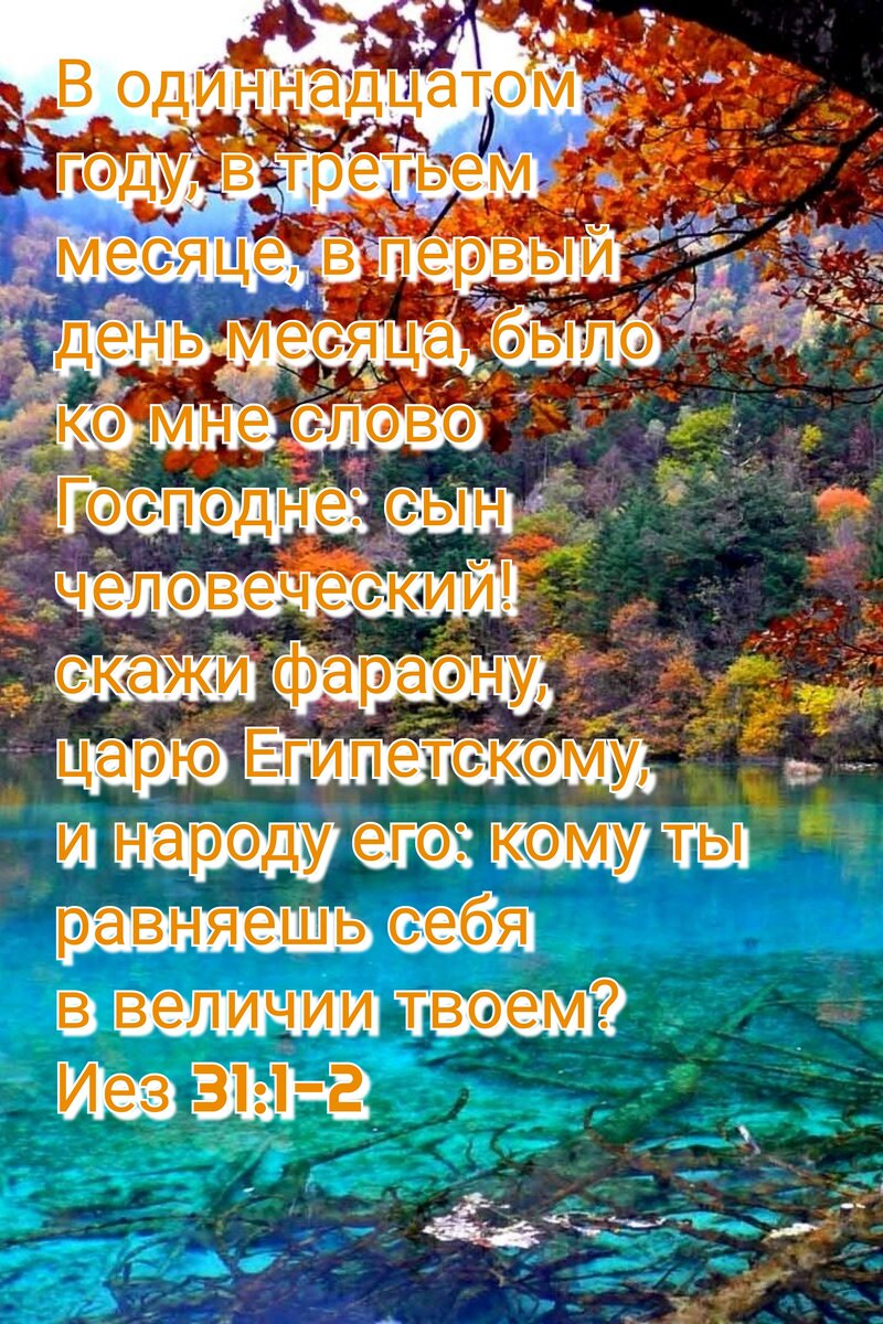 Ежедневное чтение Библии. 16 Августа. | Мир Библии | Дзен