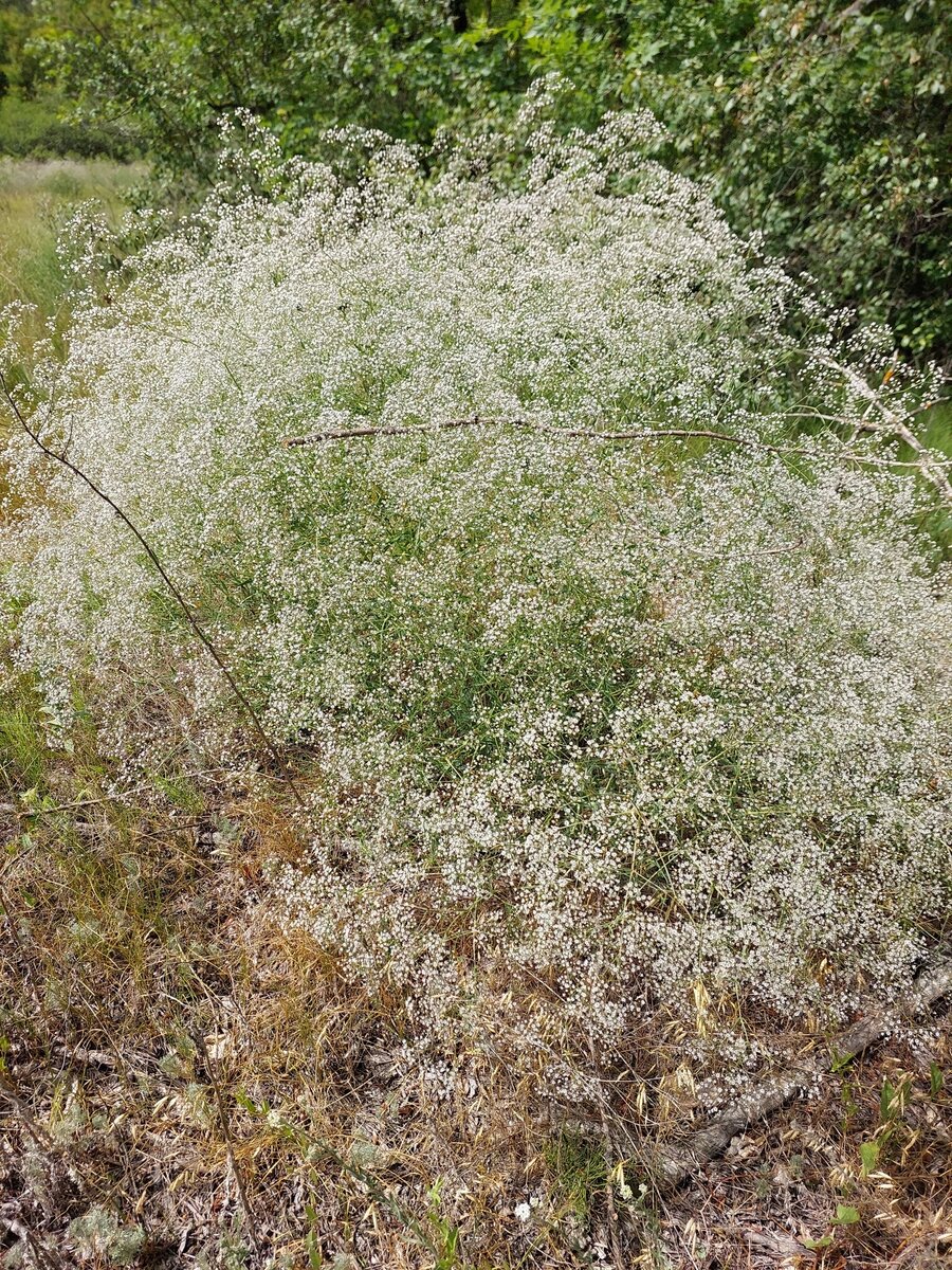 Клиент часто приносит с собой вот такой "букет" проблем