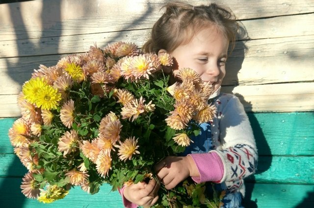    Какой будет погода в Москве 1 сентября?