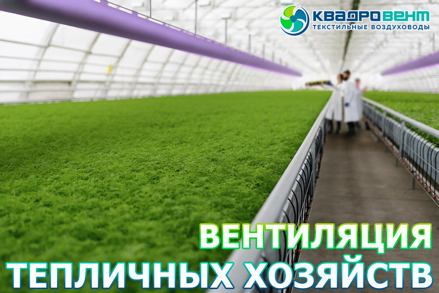 Современная вентиляция для тепличных хозяйств