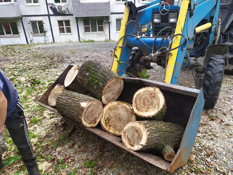 Во Владивостоке убирают упавшие во время циклона деревья