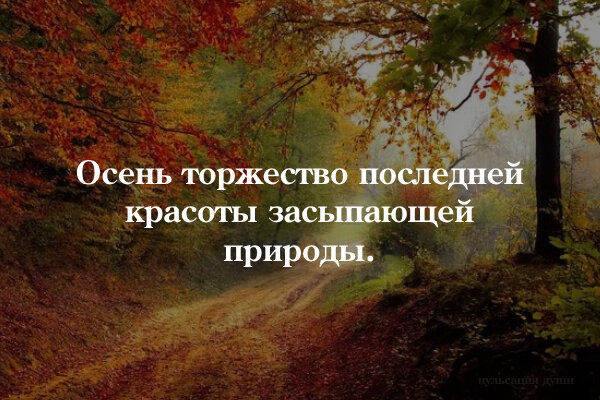 Красивые цитаты про осень: 100 фраз, которые докажут магию этого времени года