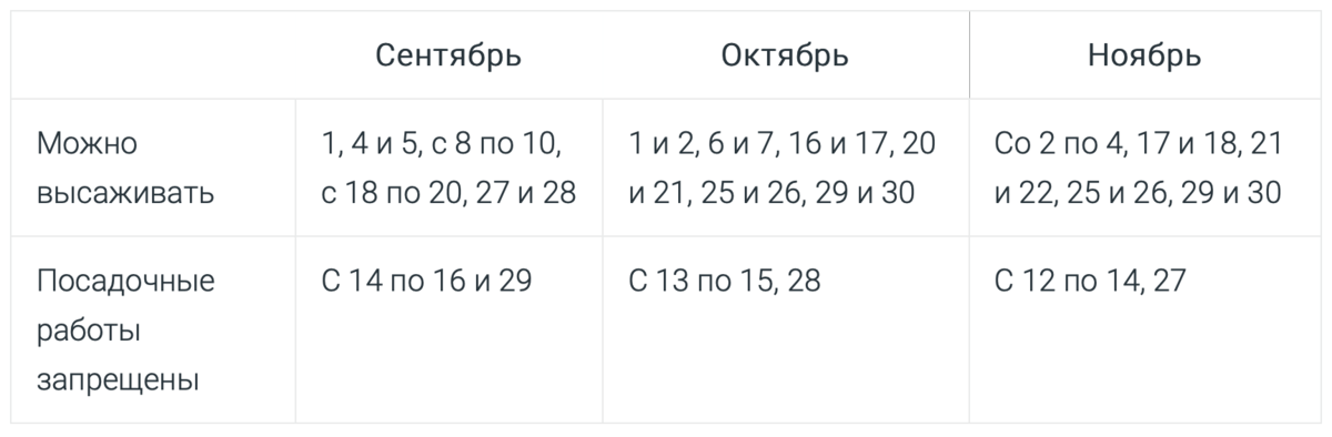 Рассказываем обо всех тонкостях выращивания озимого лука. Даем полезные советы по выбору сорта, подготовке посадочного материала, уходу за луковыми.-6