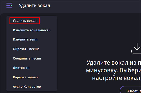 Выберите пункт "Удалить вокал"