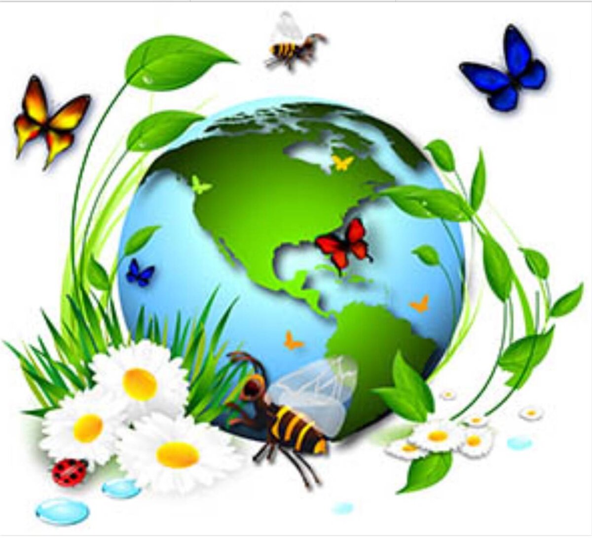 Изображение взято из открытого источника