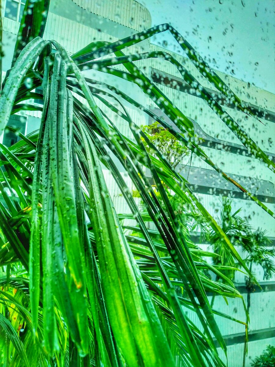 Вид из окна (ФОТО АВТОРА) 