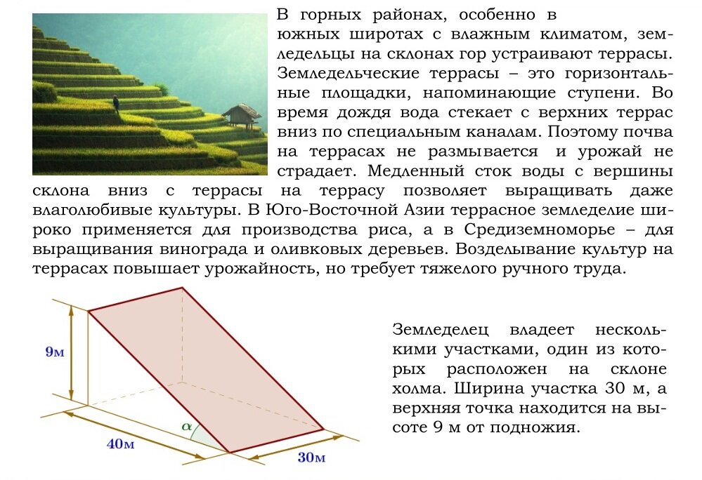 Куршская Коса