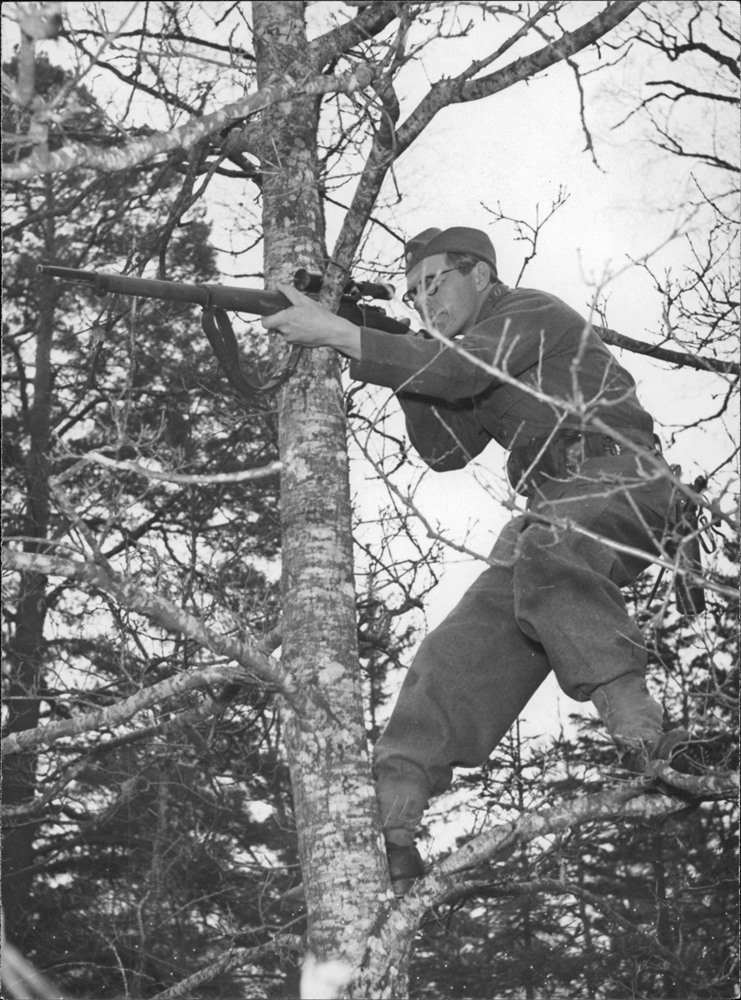 Взято из общедоступных ресурсов.