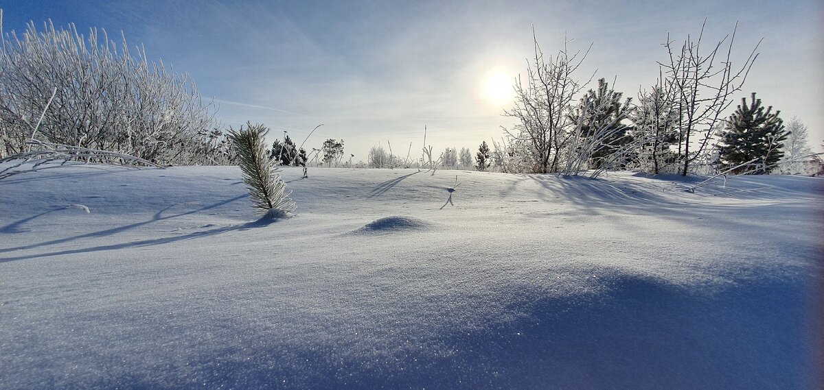 31 января Тульская область в снегу