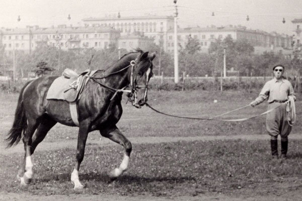 Легенды конного спорта