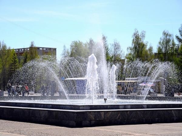 Площадь чайковский фото Сирень для Элли "Цветок благодарности"/рассказы/ Дзен