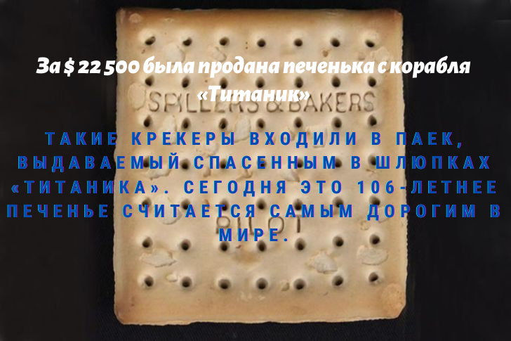 Самая дорогая в мире печенька