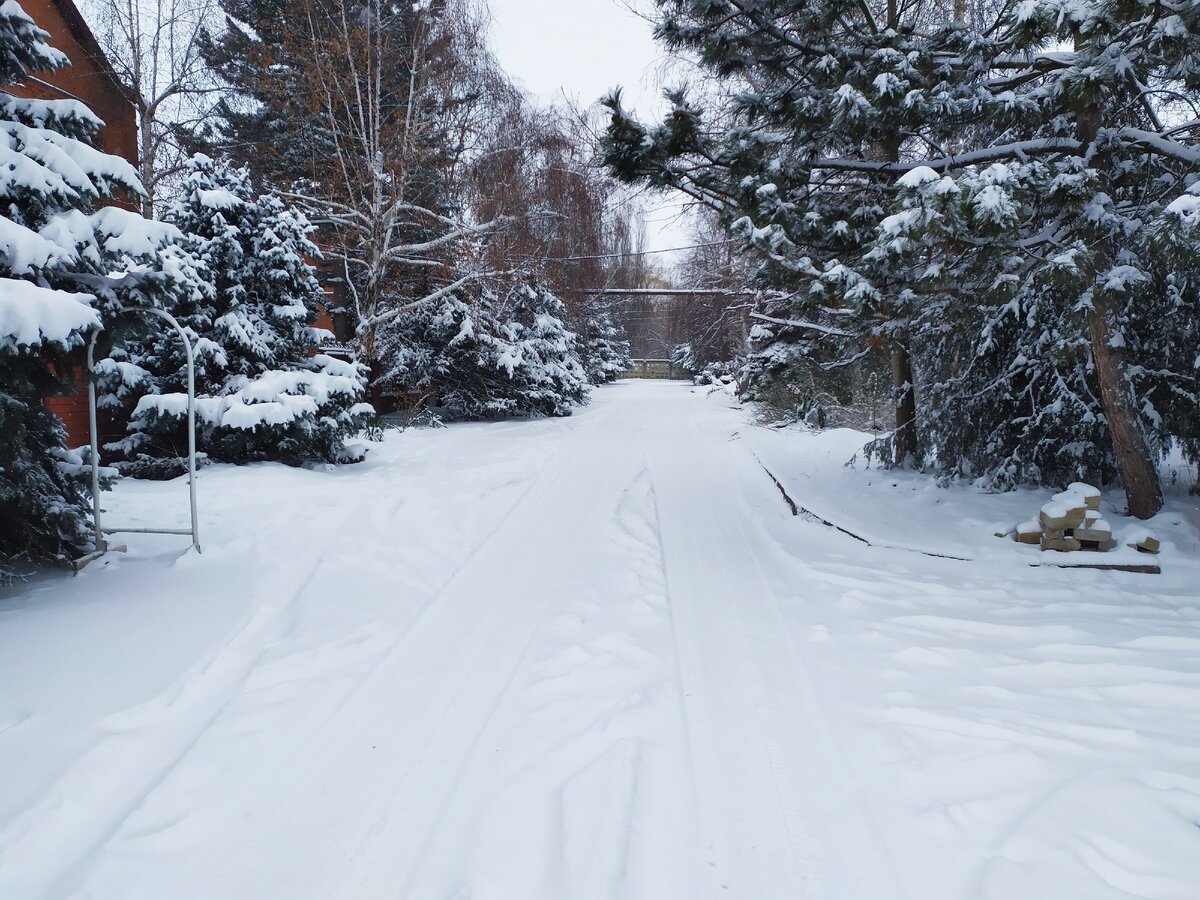 15 февраля 2021 года