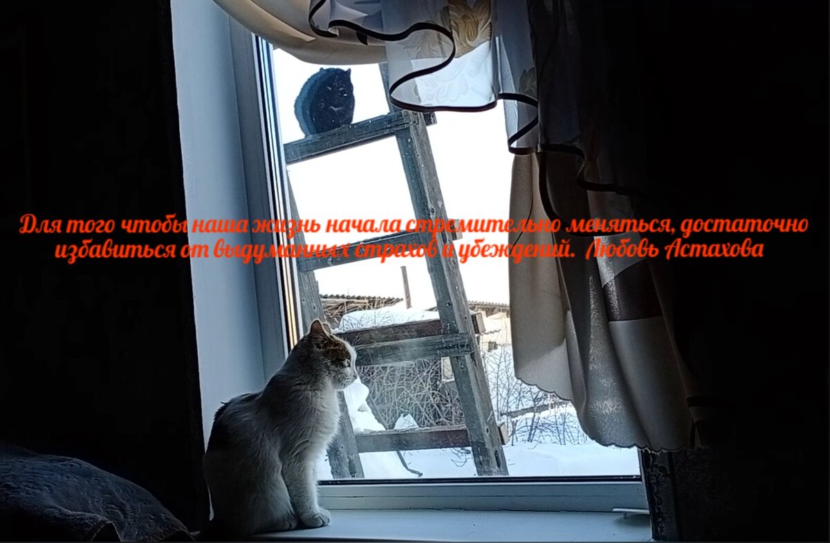 Пока мы будем сидеть и ждать лучших условий, ничего не произойдёт. Только жизнь пройдёт мимо.