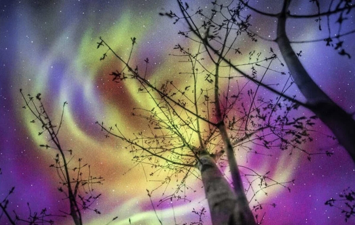 Вид картины в УФ-свете ламп. Источник: static.boredpanda.com