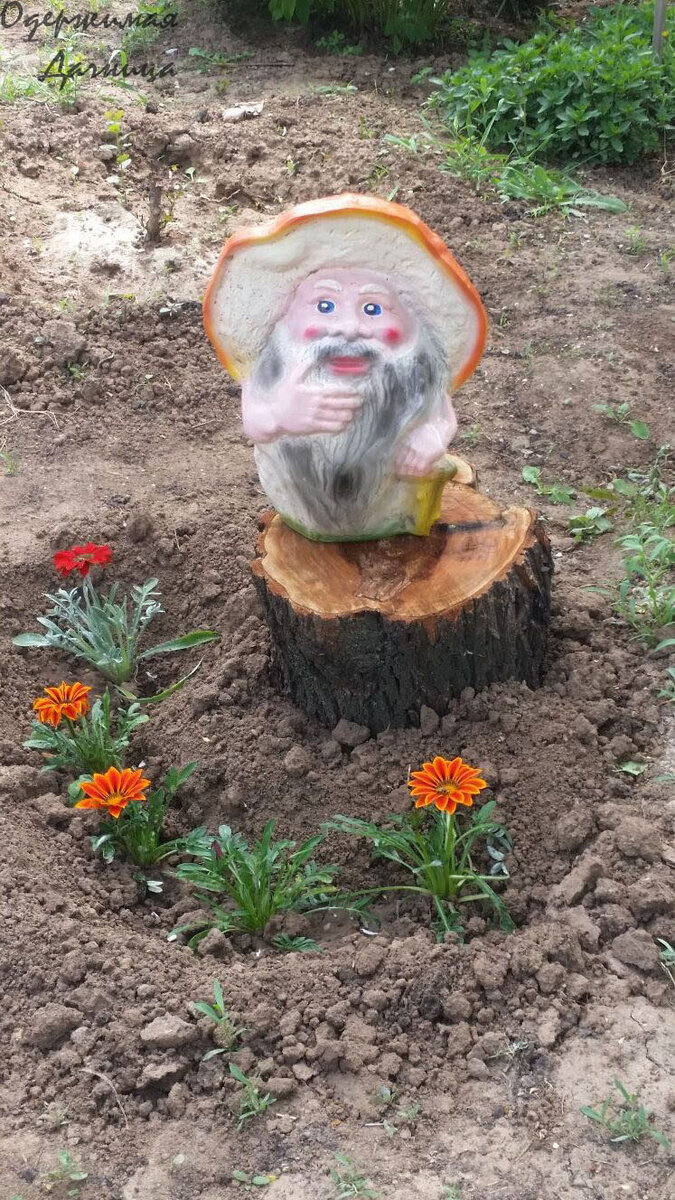 Дачный гномик.