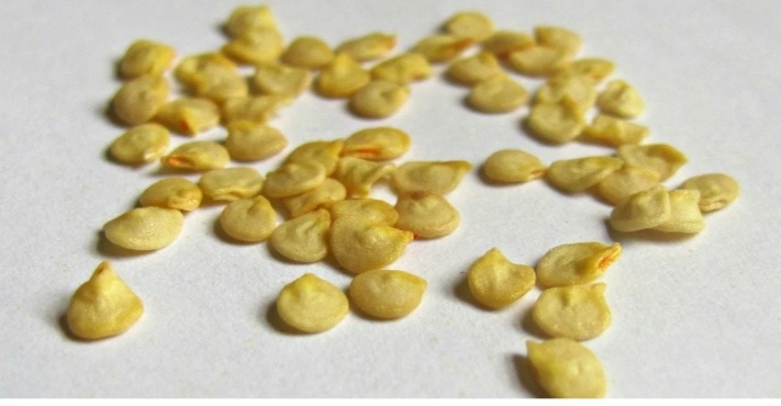 Опять же с просторов интернета)