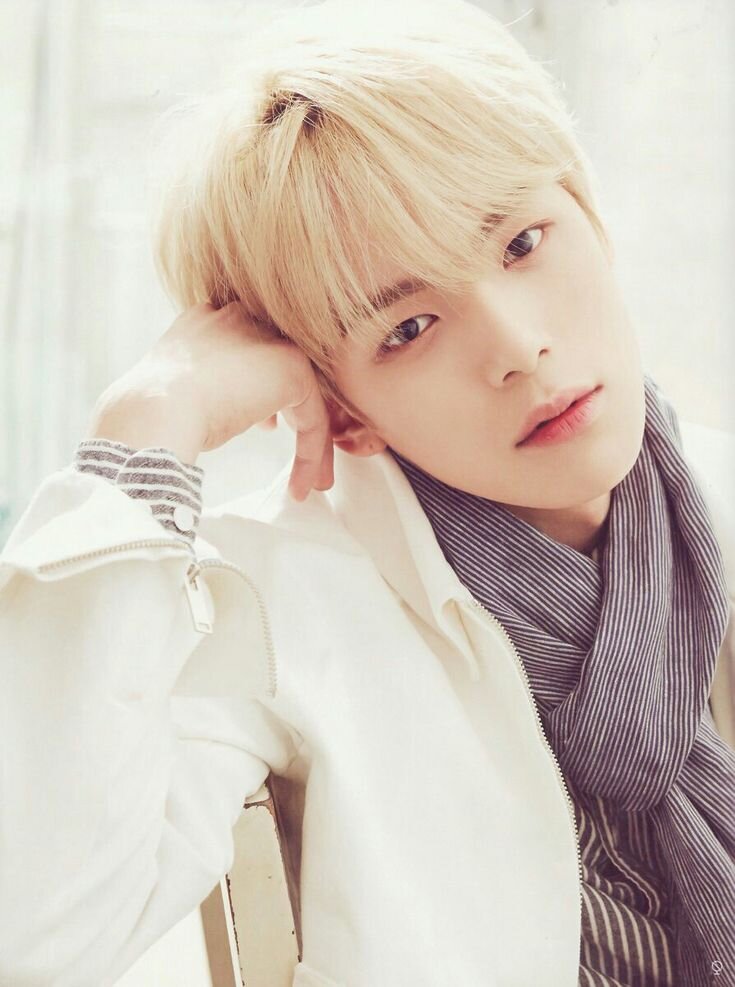 Яндекс.Картинки 