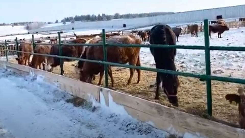 минус 32 на площадке