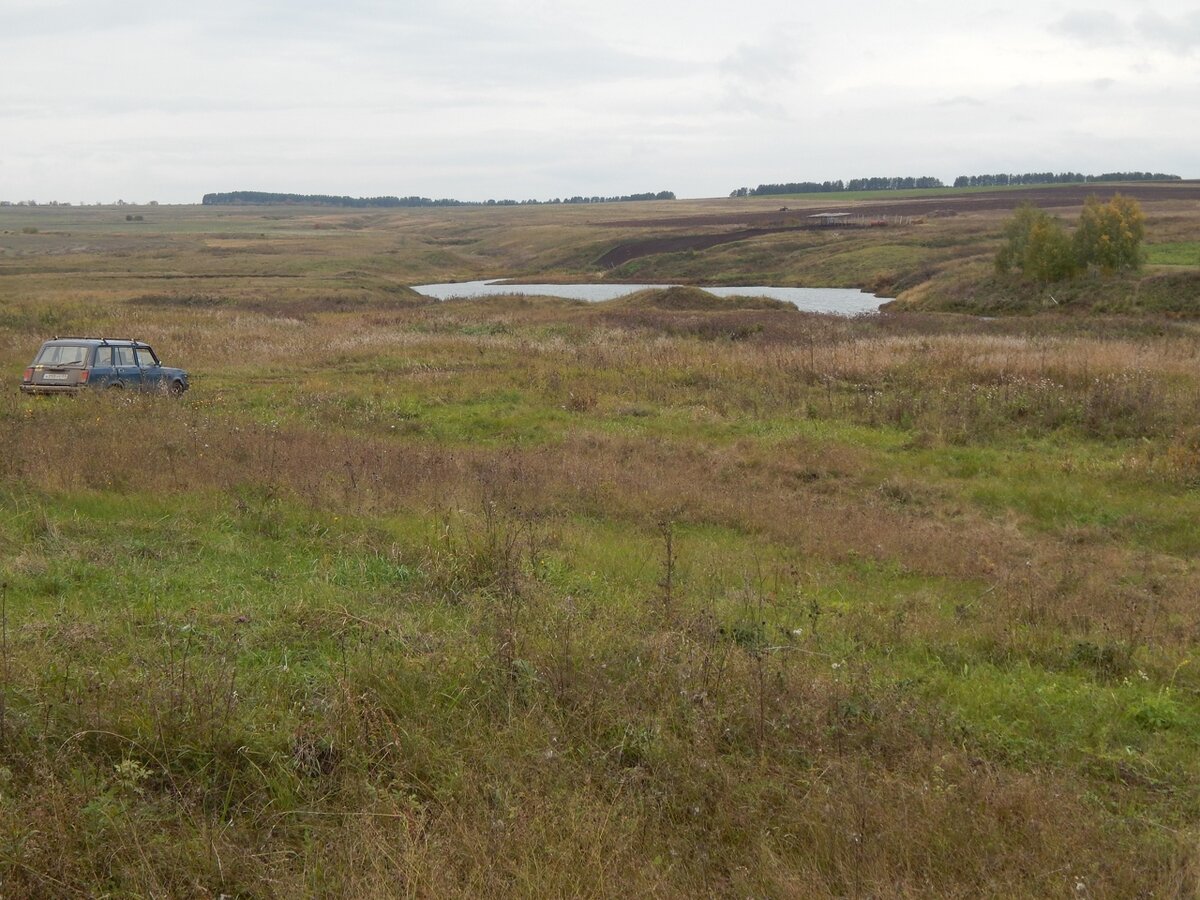 "Чудесная поляна"