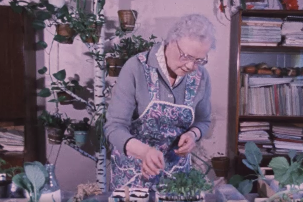 Кадр из программы "Наш сад" (1986)