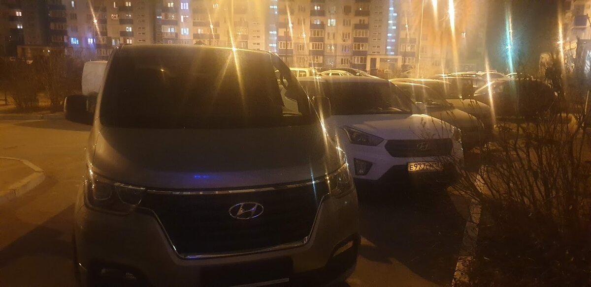 Фото автора. Новый год на носу, снега нет)