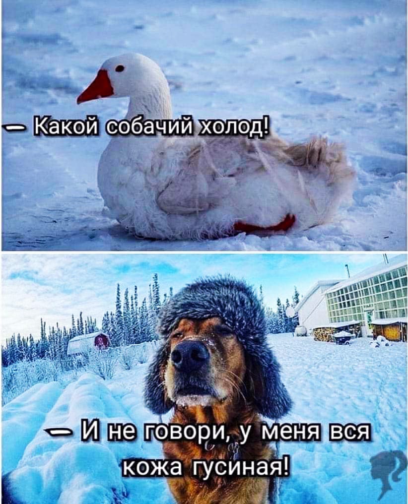 Доброе утро холодно