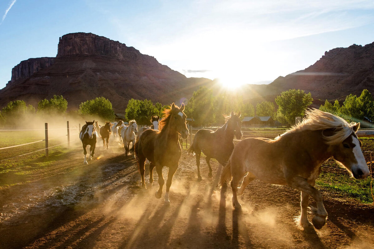 ..Верьте в себя..