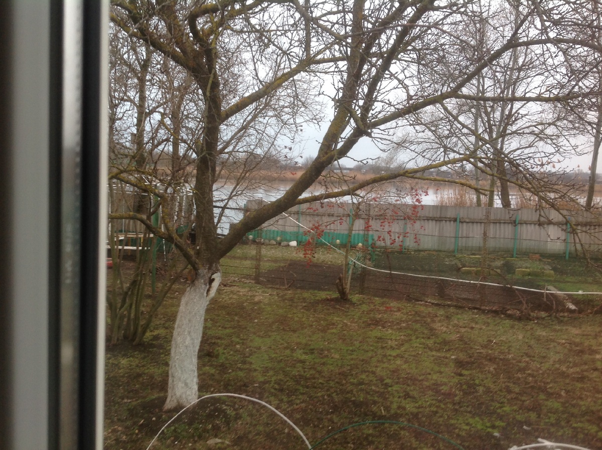 Вид из окна спальни