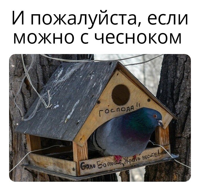 Хлебное место