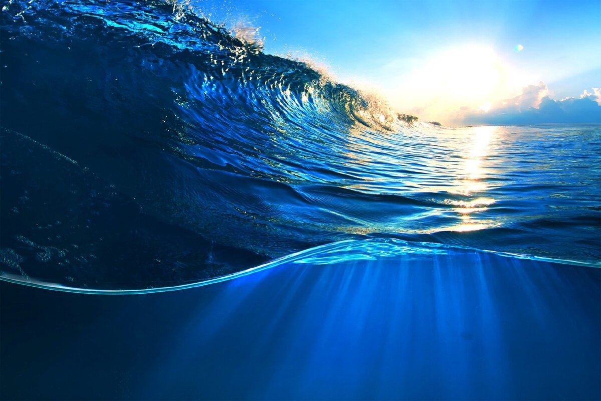 Источник: yandex.ru