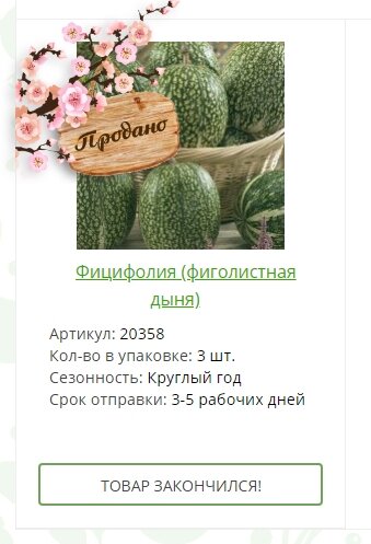 С фицифолией опоздал